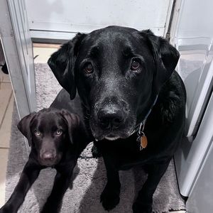 Meet your Posher, Sean